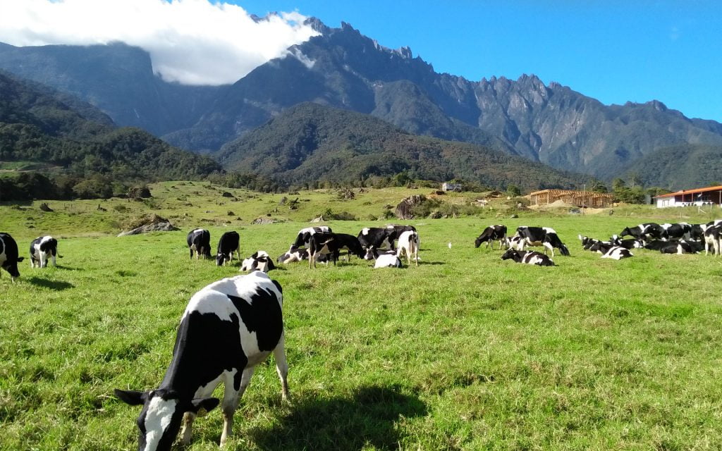 kinabalu-park-sabah-tour-header